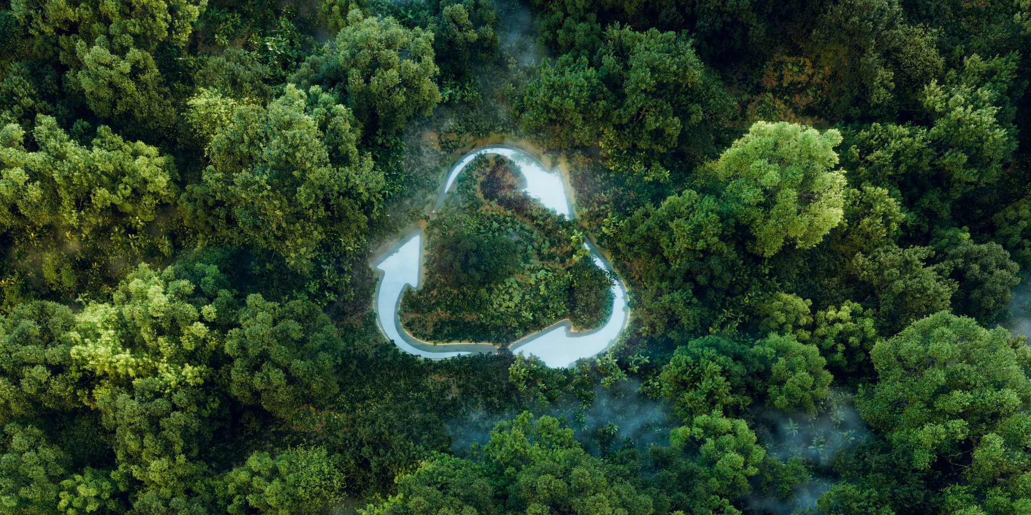 Día del Medio Ambiente