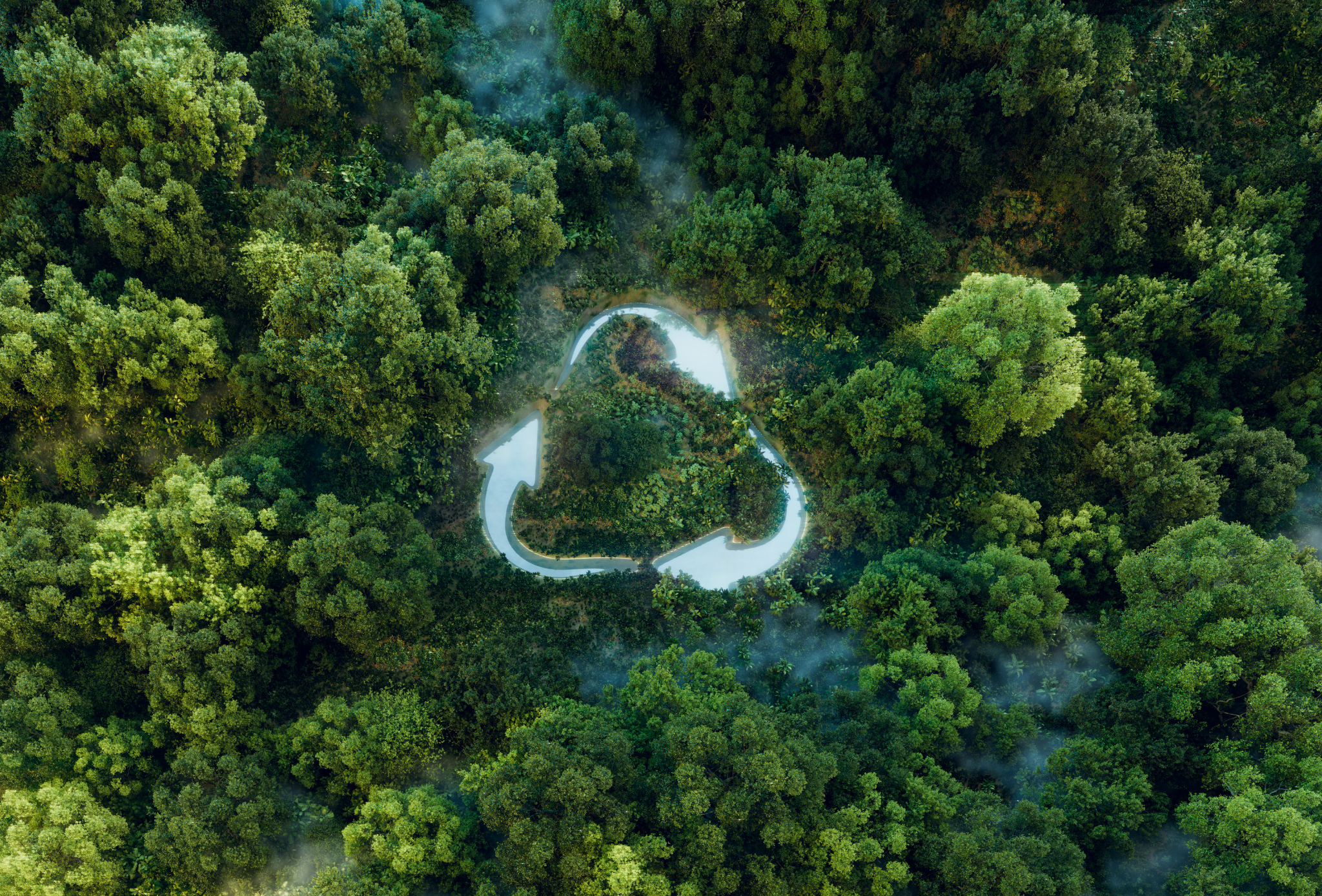 Día del Medio Ambiente