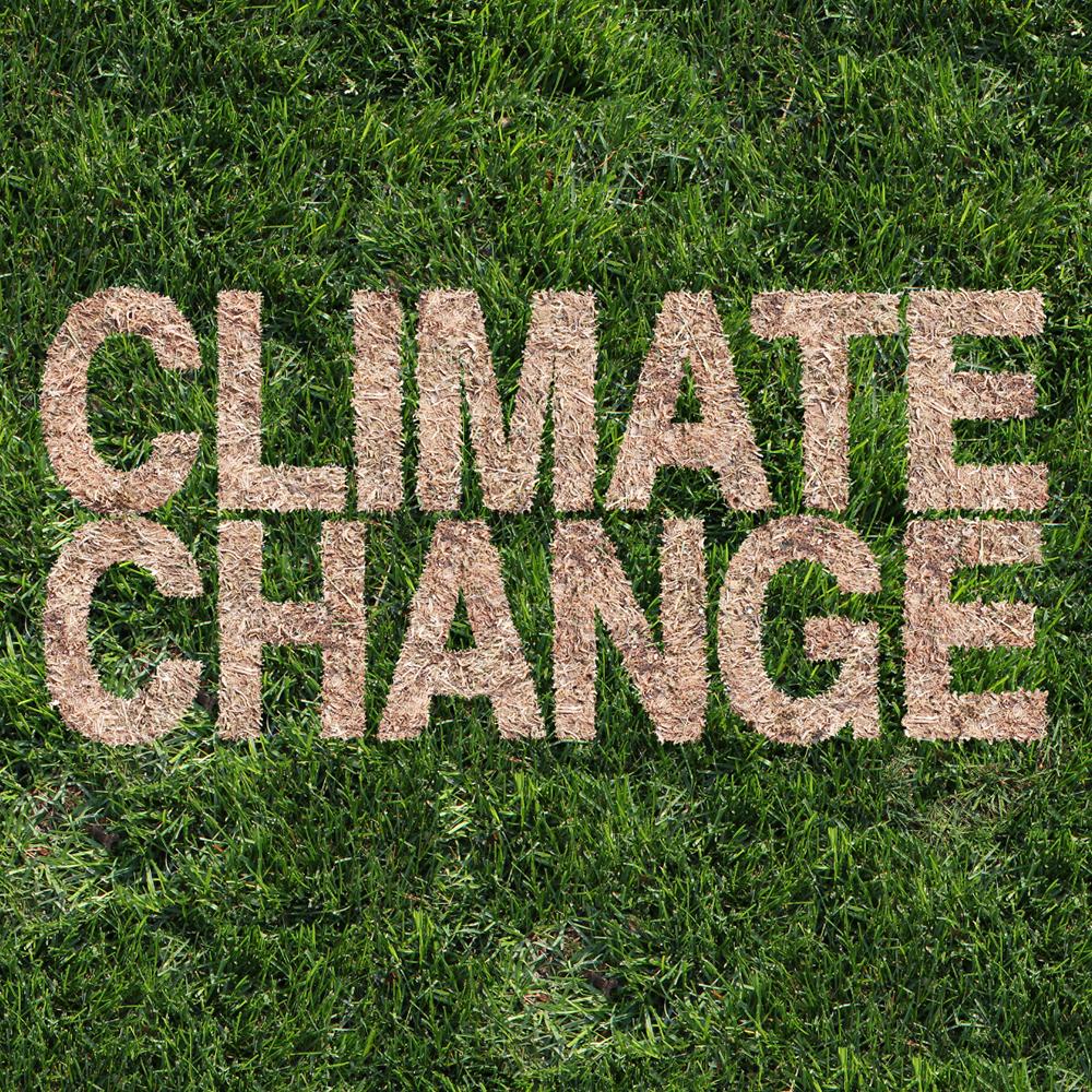 Climate change escrito sobre el césped