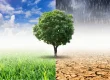 Entrada sobre el Cambio Climático