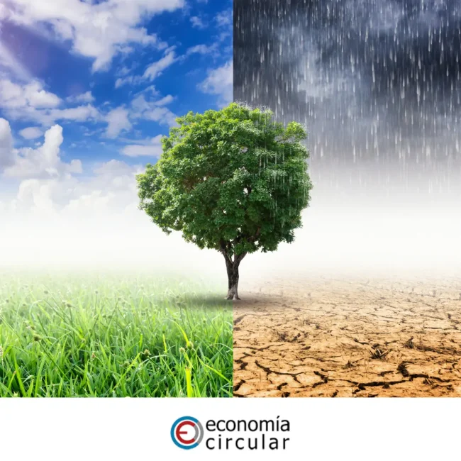 Entrada sobre el Cambio Climático